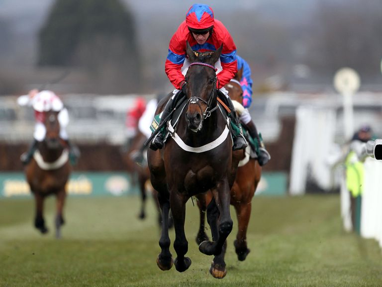 http://e2.365dm.com/13/04/768x576/sprinter-sacre-wins-full_2925055.jpg?20130405153430