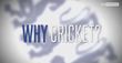 Why cricket?