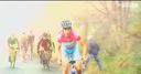 Nibali - Pretty in pink