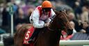 Godolphin buy Libertarian