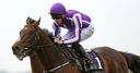 O'Brien backs Camelot quest