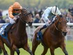York and Newbury Friday action