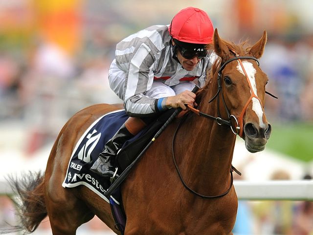 Talent: Bidding to win another Group One