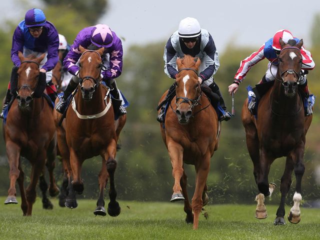 Duntle makes winning reappearance at Leopardstown