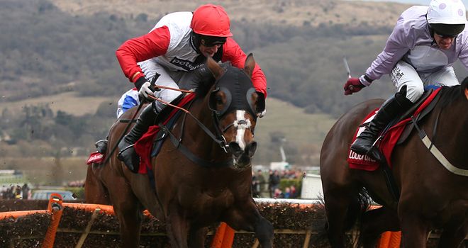 Celestial Halo: French Champion aim