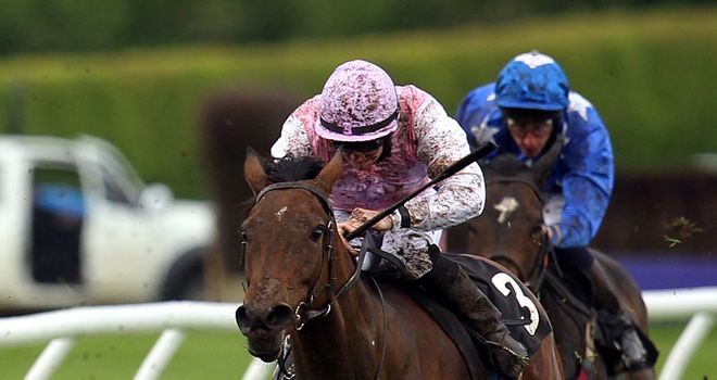 Lily's Angel: Retired to stud