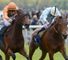 York and Newbury Friday action