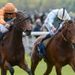 York and Newbury Friday action