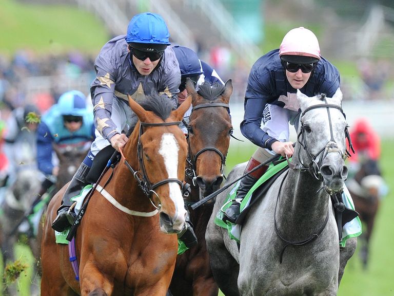 Address Unknown (blue cap): Bids to sign off in style in the Northumberland Plate