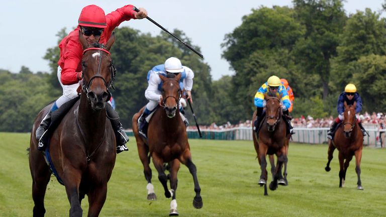 Treve: Has the Arc as her principal target