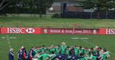 Lions XV
