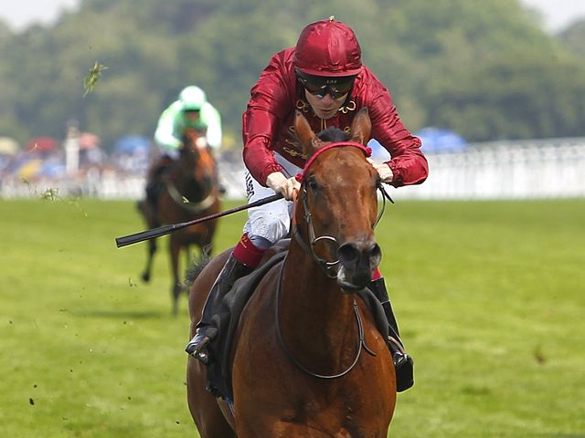 Kiyoshi: Moyglare hopeful