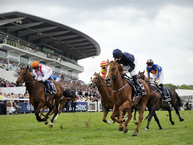 Ruler Of The World is set to return to Epsom on Saturday