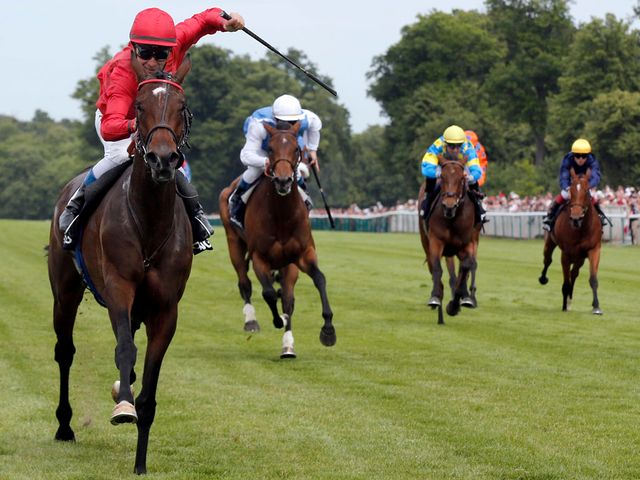 Treve: Hoping to state her case for the Arc