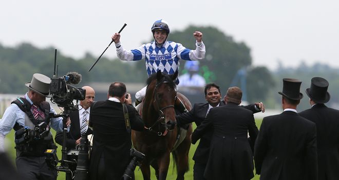 Al Kazeem: Set to run at Leopardstown