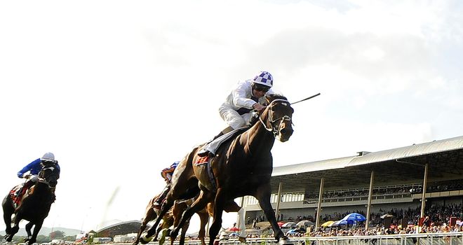 Trading Leather: Back next year