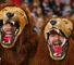 Waratahs v British & Irish Lions