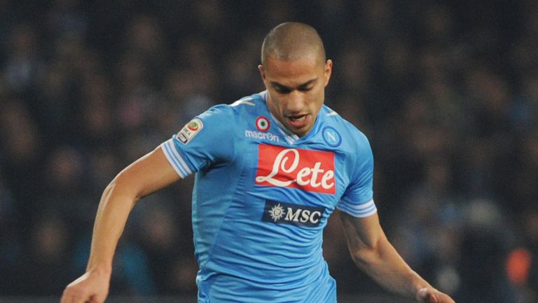Gokhan Inler: Looks set to stay at Napoli