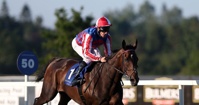 Royal Diamond: Aiming for Leger repeat