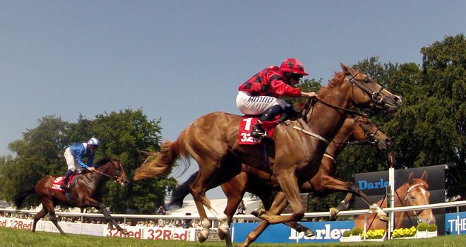Good Old Boy Lukey: Champagne Stakes entry
