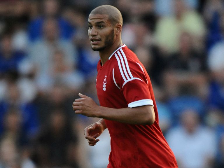 Adlene Guedioura: Added to the Palace ranks