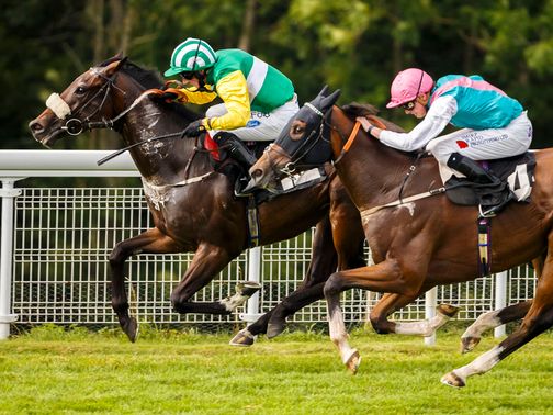 Majestic Moon: Has got a great draw at York