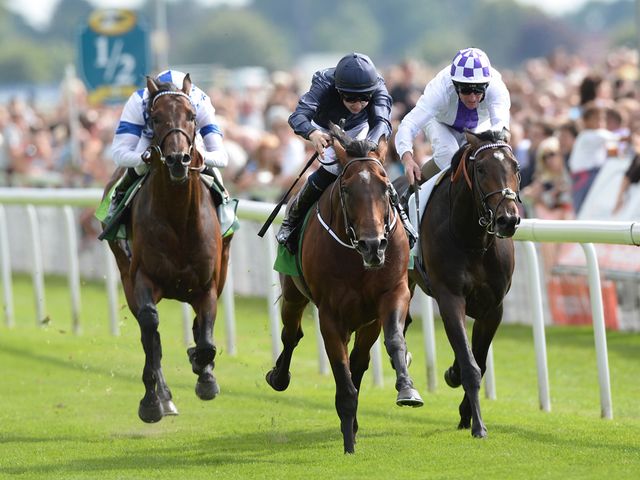 Declaration Of War leads Trading Leather and Al Kazeem