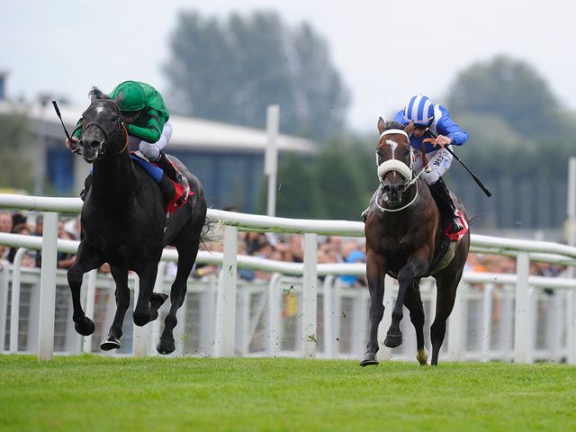 Gregorian: A cosy winner of the Hungerford Stakes