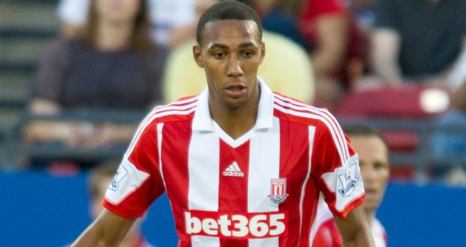 Steven N'Zonzi: Stoke midfielder integral to Mark Hughes' plans