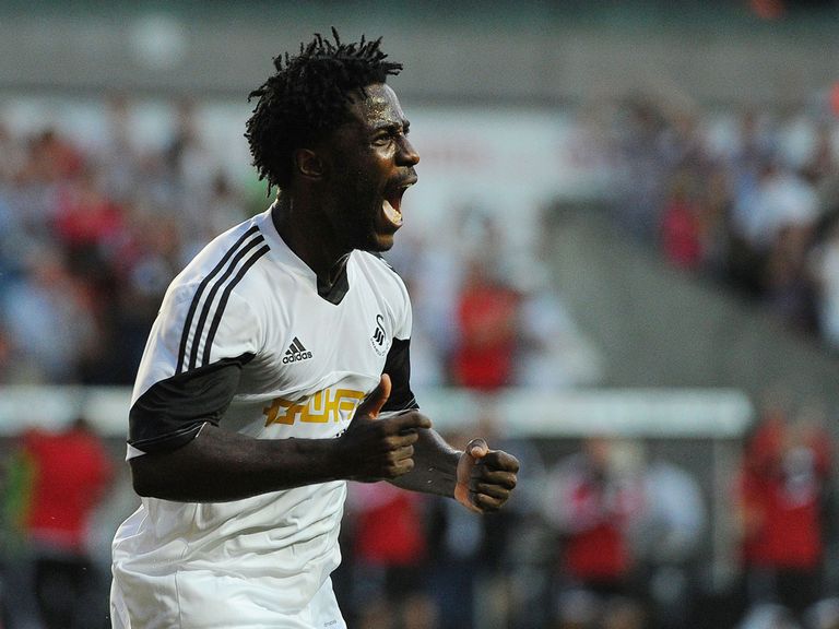 Wilfried Bony: Hoping Michu stays at Swansea
