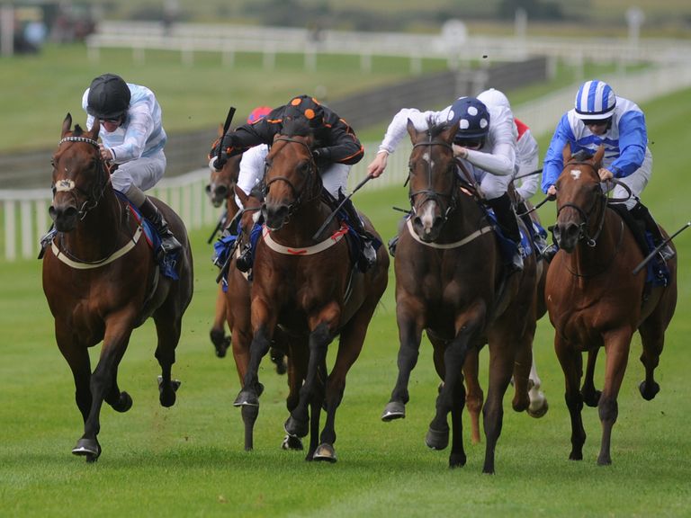 Dutch Masterpiece (spotted cap): Ran at Newbury