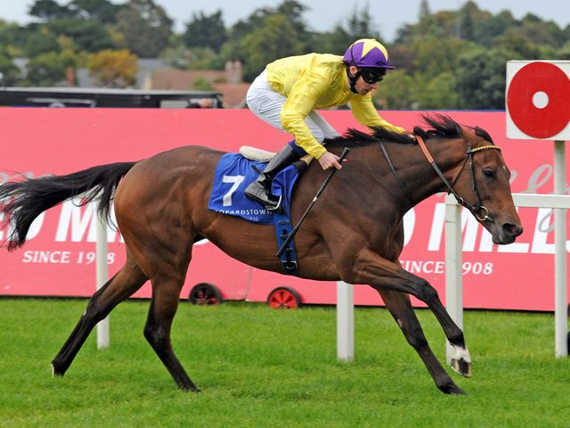 My Titania: Moves up in grade on Sunday
