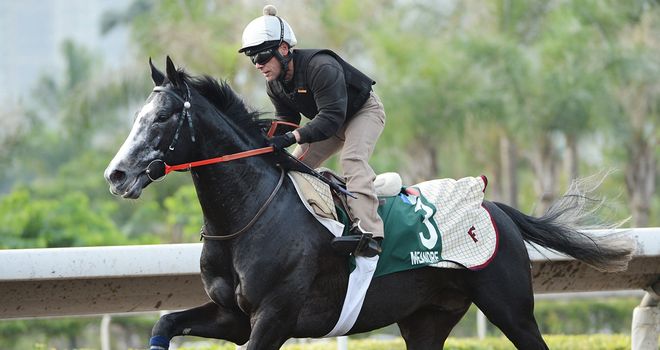 Meandre: Disqualified in Cologne