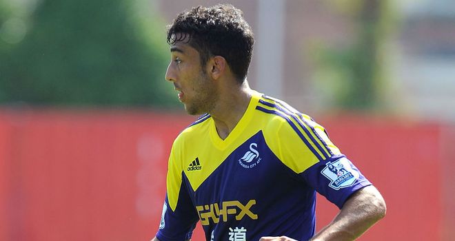 Neil Taylor: Swansea defender a target for Fulham