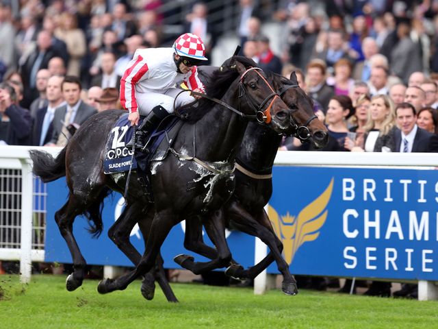 Slade Power: Winner of Sprint Stakes under Wayne Lordan