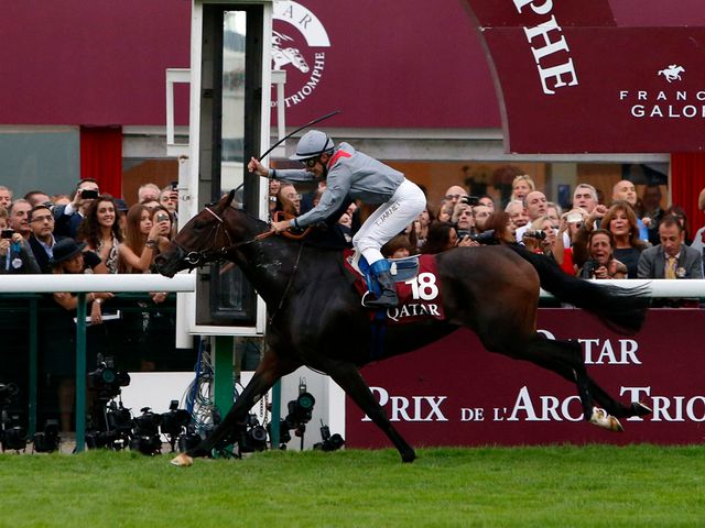 Treve runs out a brilliant winner of the Arc at Longchamp