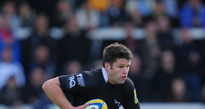 Ally Hogg: Has been named as Newcastle's captain for Sunday's fixture against London Irish