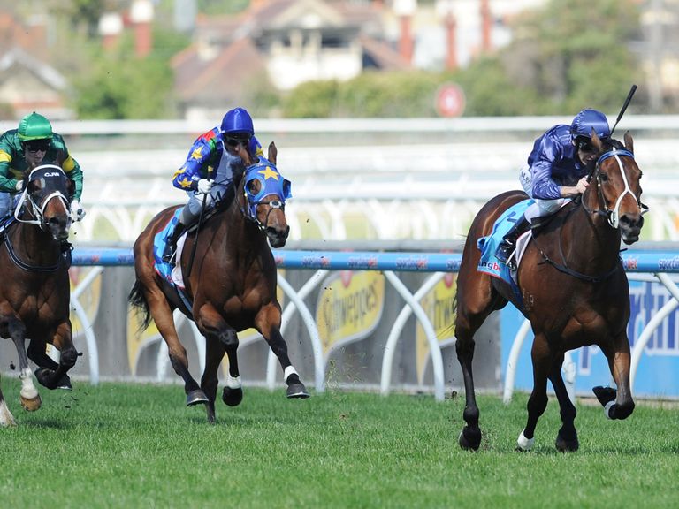 Atlantic Jewel: Scratched from the Cox Plate