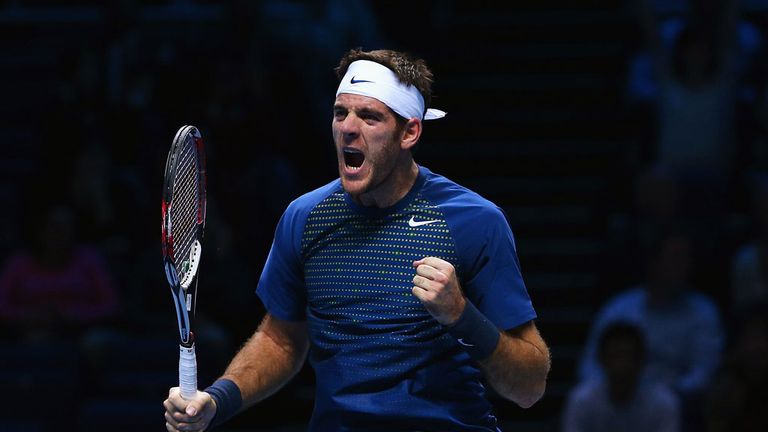 Juan Martin Del Potro: Celebrates a hard-fought victory in London