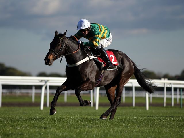 Captain Cutter stepped up to Grade One level