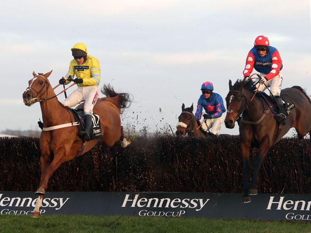Triolo d'Alene (left): Landed the Hennessy