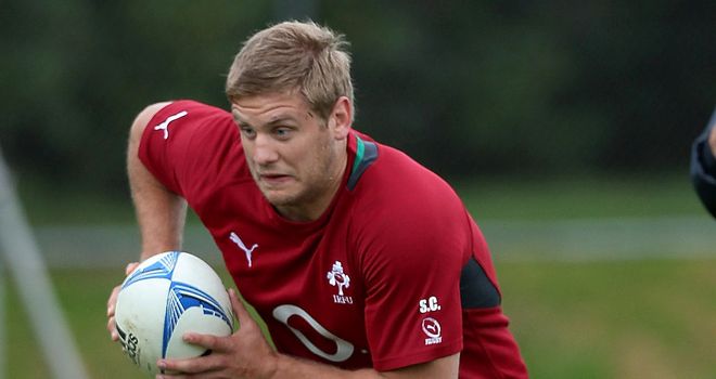 Chris Henry: Looking to help Ireland beat Wales