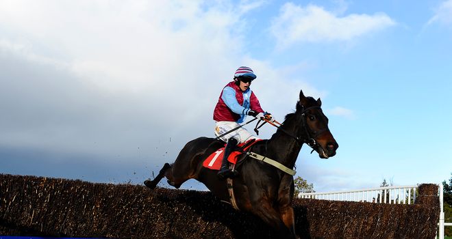 Cloudy Too: Set to take his chance in the Cheltenham Gold Cup