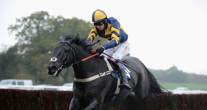 Mendip Express: Newbury an option before Cheltenham