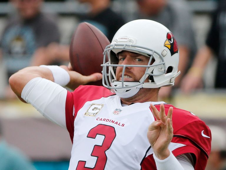 Carson Palmer threw for 419 yards