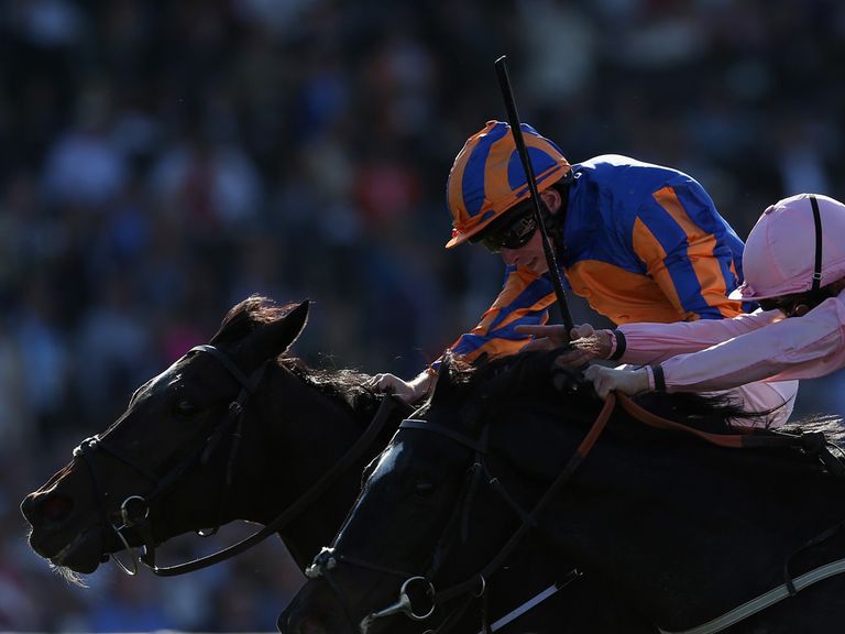 Magician: Coolmore already have three full siblings including two-year-old Absolute Galiileo