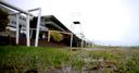 Lingfield washed away