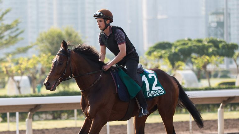 Dunaden will stand at stud in Gloucestershire
