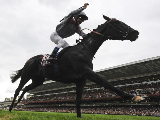 Treve: carrying plenty of confidence ahead of Ascot race