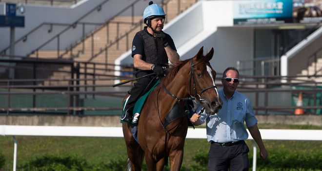 Red Cadeaux: No joy in Japan on Sunday